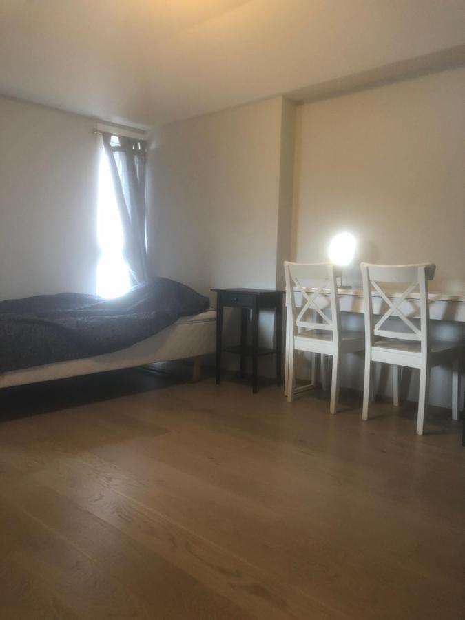 Penthouse Sentralt I Oslo Apartment Luaran gambar